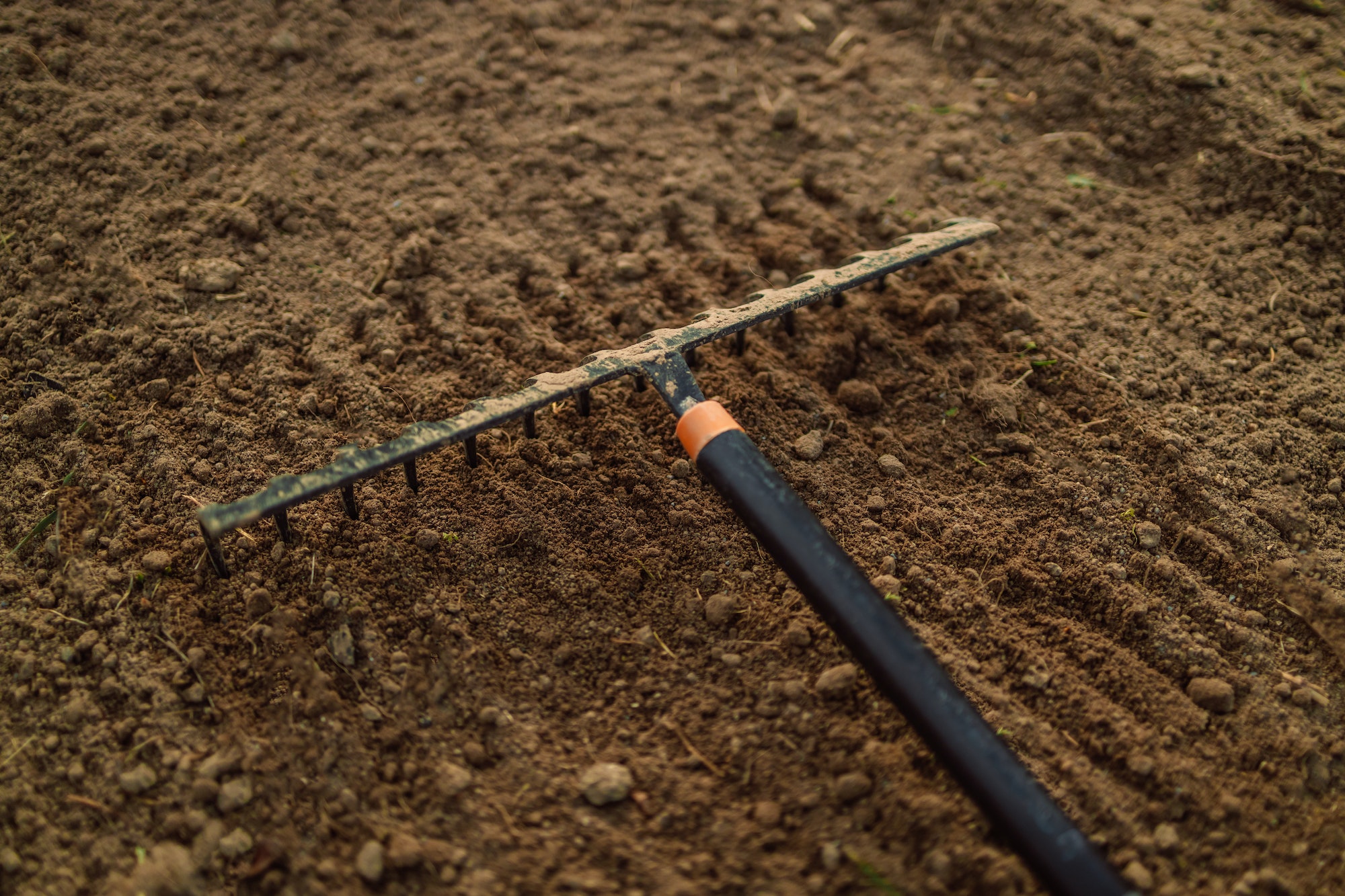 Spring cleaning. Selective focus. Yard area cleaning, cultivation of land by large garden rake